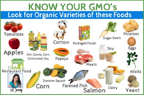 Through the modification of <strong>foods</strong>, the flavors can be enhanced. . Non gmo foods list 2022